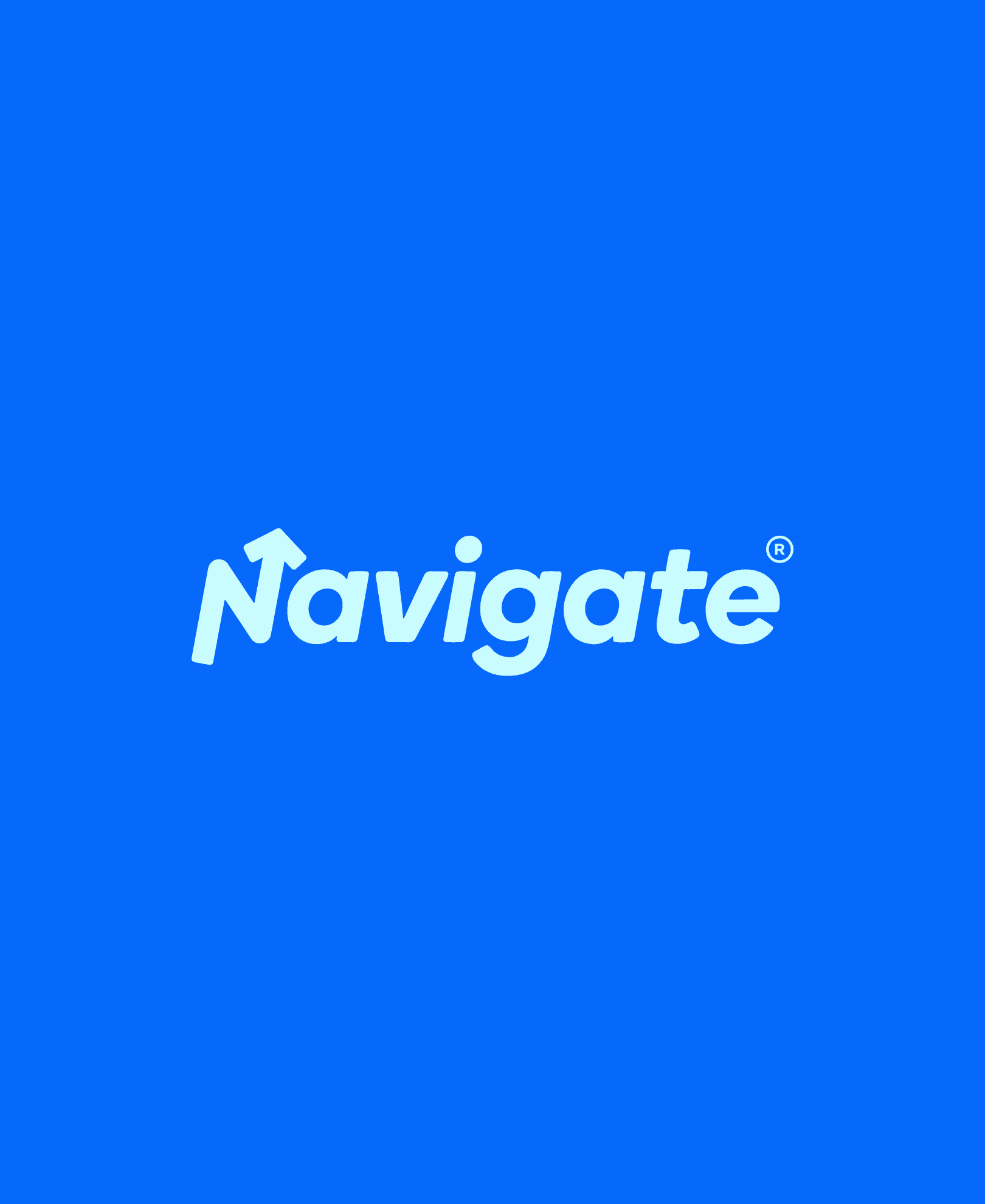 Navigate - Primary fonts, colors, and icon sets - 2
